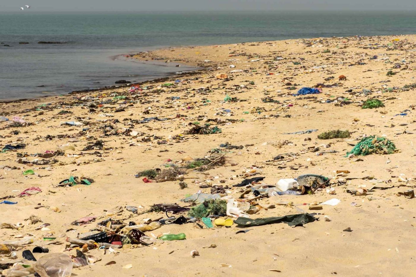 How to Dispose of Sanitary Waste – Trash on Beach