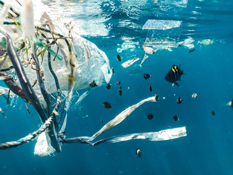 An image of waste floating in the ocean
