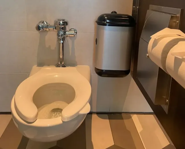 Pod Petite Auto Black Sanitary Disposal Unit in a Walt Disney Parks & Resorts washroom