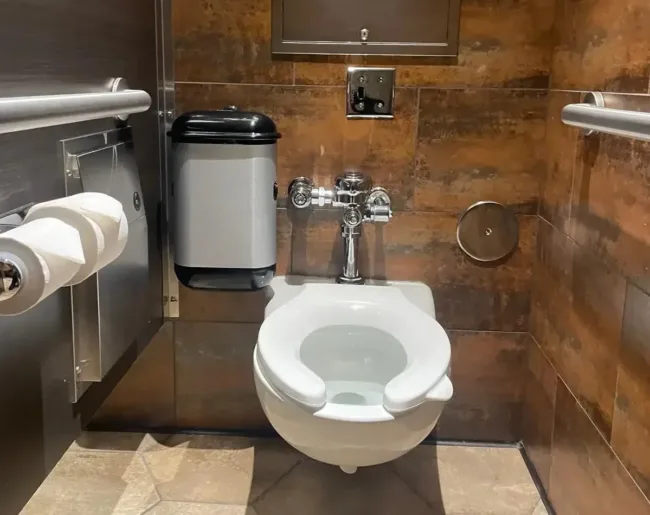 A Pod Petite Auto Black Sanitary Unit in a Walt Disney Parks & Resorts restroom